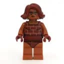 Minifigurka: Brick