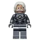 Minifigurka: Reinhardt