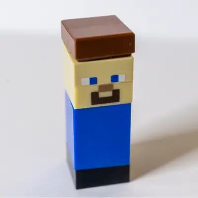 Steve - Micro