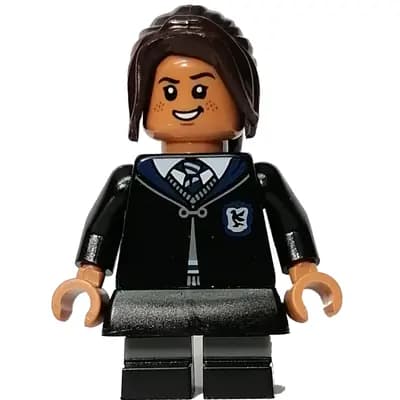 Ravenclaw Student