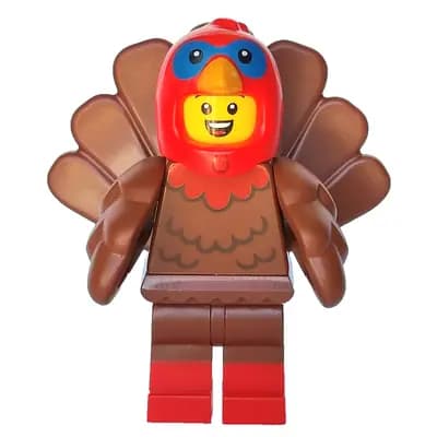 Turkey Costume