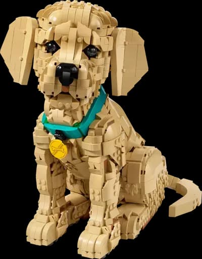 LEGO 11384 Szczeniak golden retriever