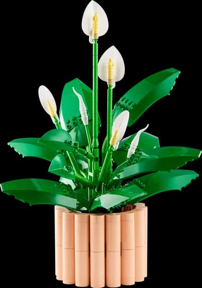 LEGO 11504 Skrzydłokwiat