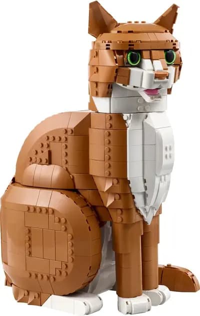 LEGO 21376 Rudy kot